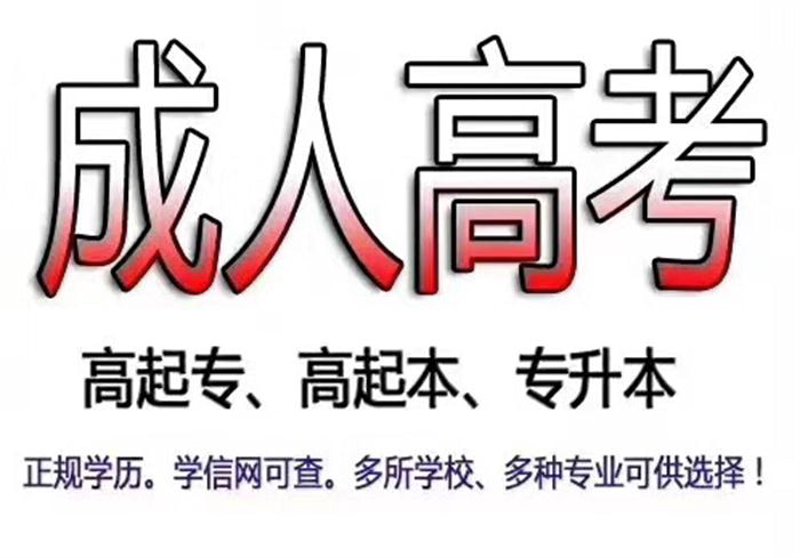 网络教育：在家也能享受高质量教育资源