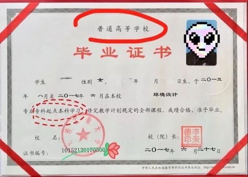 成人高考攻略：轻松备考，成就梦想